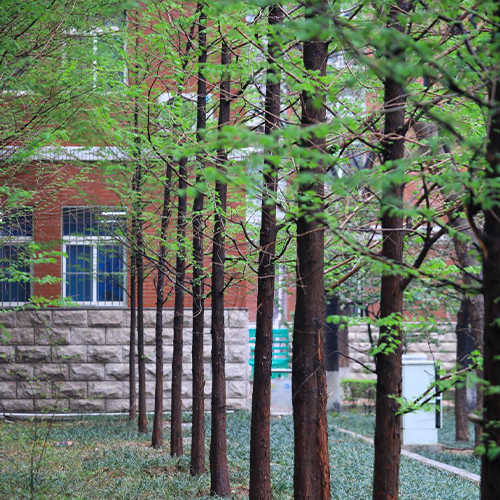 我的大學(xué)