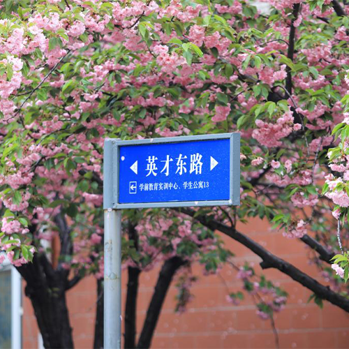 高考四季