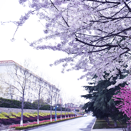 大學簡介