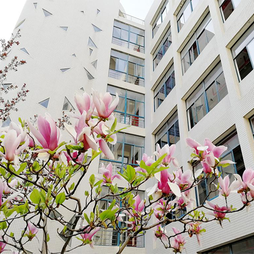 煙臺理工學院-大學文化