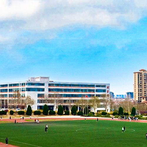 我的大學(xué)