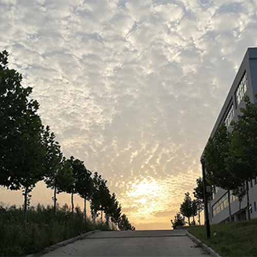 我的大學(xué)