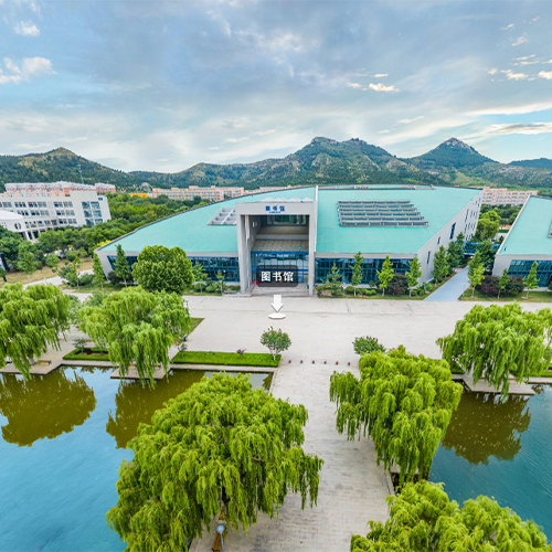 大學(xué)志
