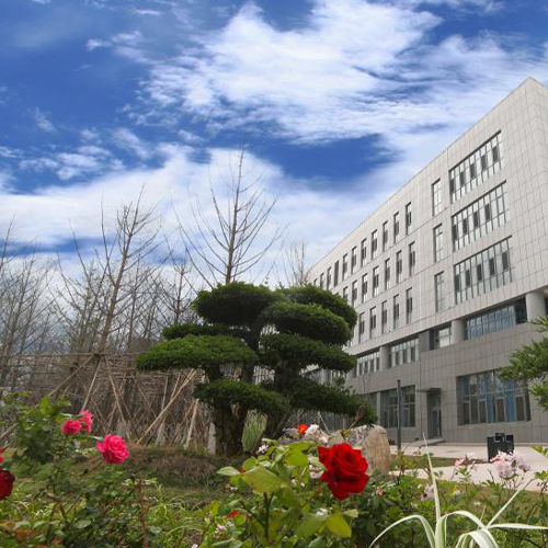 大學(xué)志