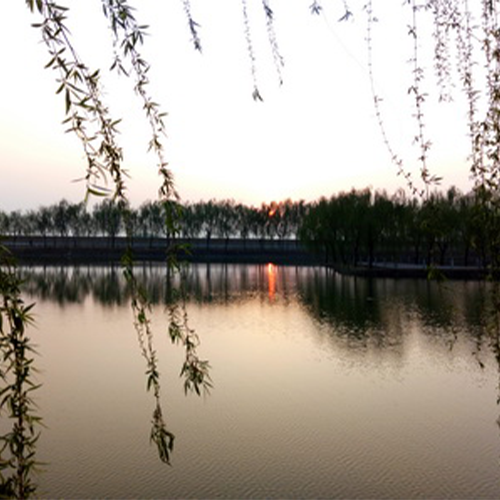 山東農(nóng)業(yè)工程學(xué)院-大學(xué)文化