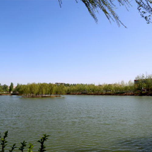 山東農(nóng)業(yè)工程學(xué)院-最美校園