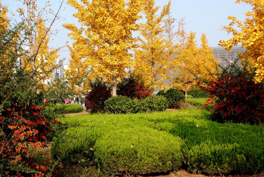 齊魯工業(yè)大學(xué)-校園風(fēng)景