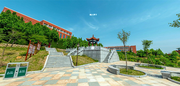 萊蕪職業(yè)技術(shù)學院 - 最美大學