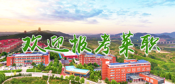萊蕪職業(yè)技術(shù)學院 - 最美大學