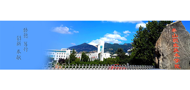 泰山職業(yè)技術(shù)學院