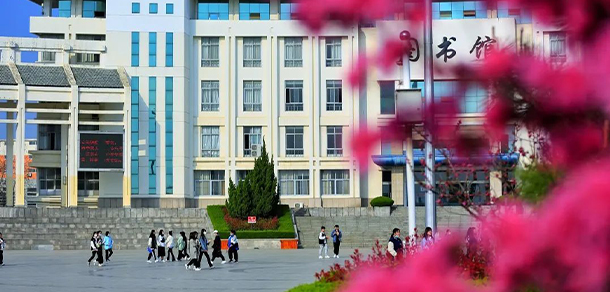 泰山職業(yè)技術(shù)學院 - 最美大學
