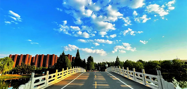 泰山職業(yè)技術(shù)學院 - 最美大學