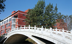 歷史沿革(概)校史
