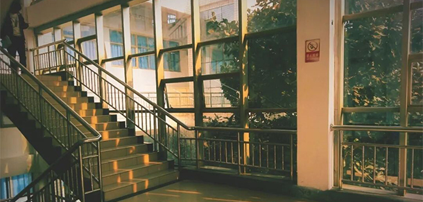 我的大學(xué)-大學(xué)志