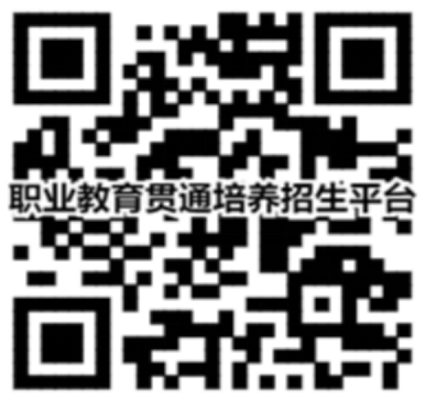 二維碼在線進(jìn)行報考、計劃查詢、錄取查詢