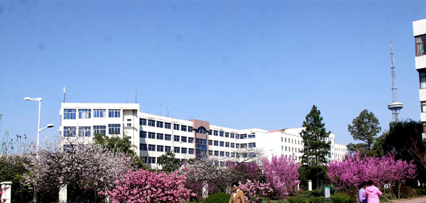 漯河職業(yè)技術(shù)學院 - 最美大學