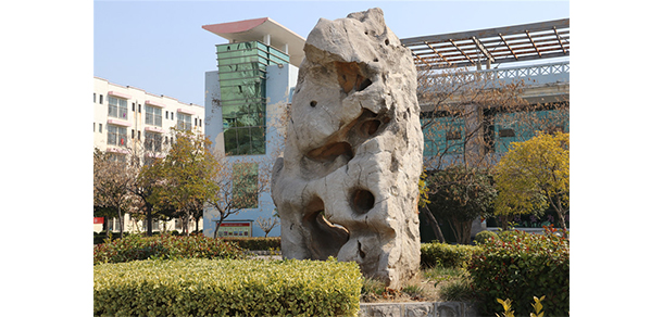我的大學-大學志