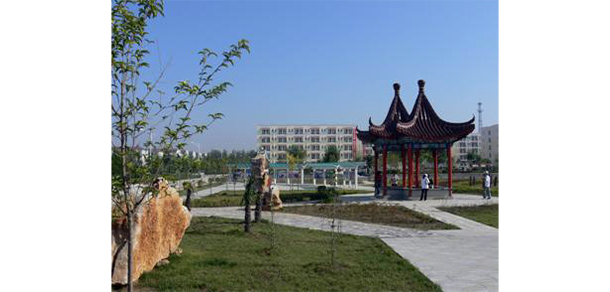我的大學-大學志