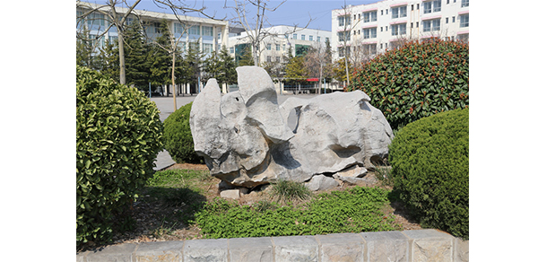 我的大學-大學志