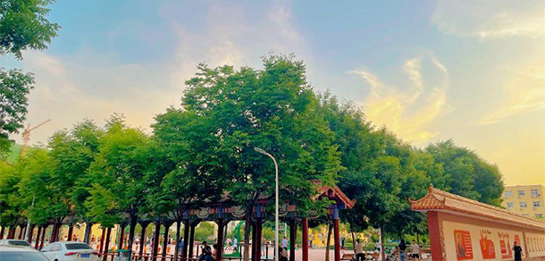 鄭州電力職業(yè)技術學院 - 最美大學