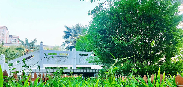 鄭州電力職業(yè)技術學院 - 最美大學