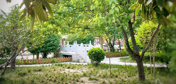 鄭州電力職業(yè)技術學院 - 最美大學