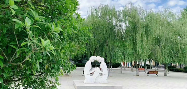 鄭州電力職業(yè)技術學院 - 最美大學
