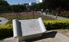 新鄉(xiāng)職業(yè)技術學院 - 我的大學