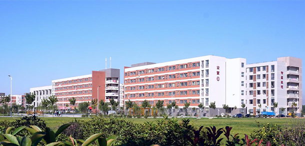 我的大學(xué)-大學(xué)志