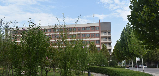 我的大學(xué)-大學(xué)志