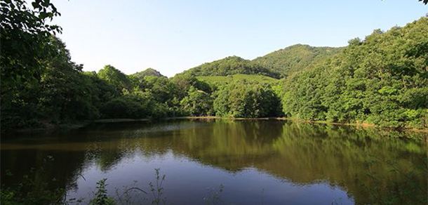 我的大學(xué)-大學(xué)志