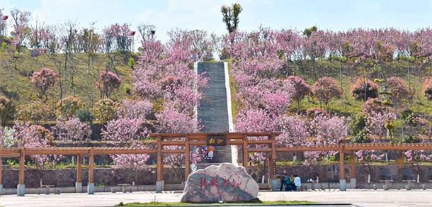 懷化學(xué)院 - 最美院校