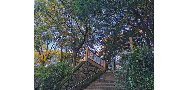 2021年招生簡章