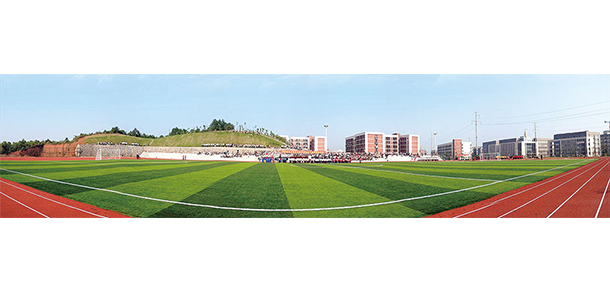 我的大學(xué)-大學(xué)志