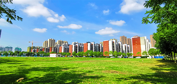 我的大學-大學志