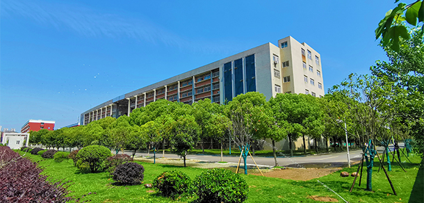 我的大學-大學志