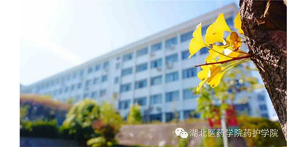 我的大學-大學志