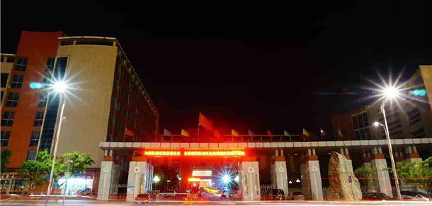 我的大學-大學志