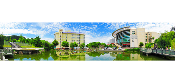 我的大學-大學志