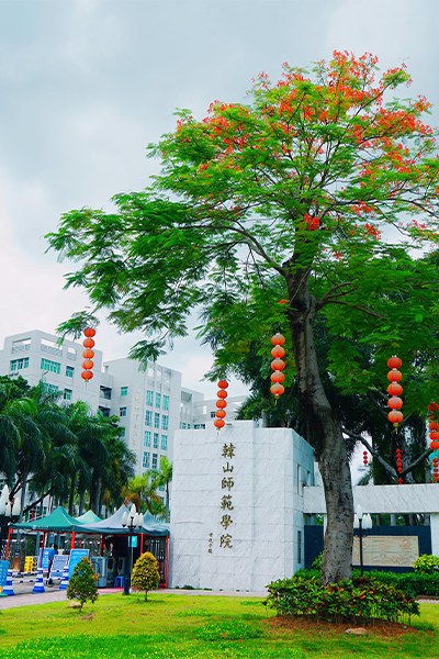 歲月流金 · 青春不散場