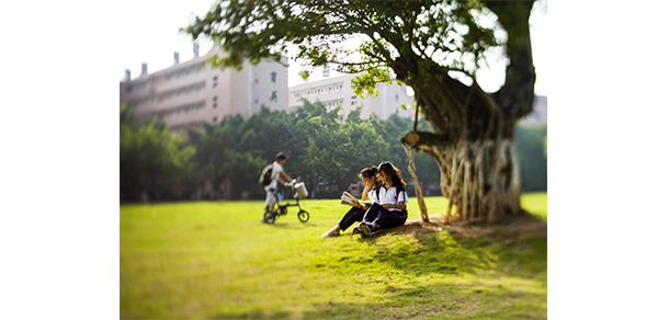 五邑大學 - 最美大學