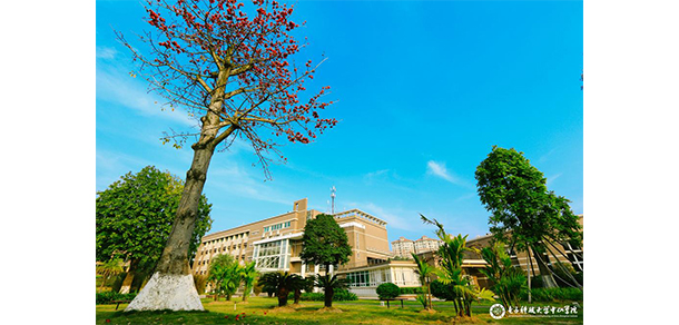 電子科技大學中山學院