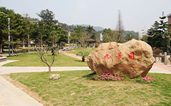 文化標識：校名題寫 / 校徽設計
