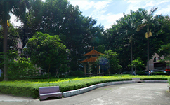 歷史沿革(概)校史