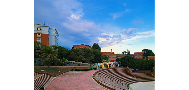 我的大學(xué)-大學(xué)志