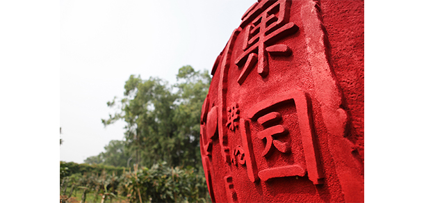 廣東舞蹈戲劇職業(yè)學院 - 最美大學