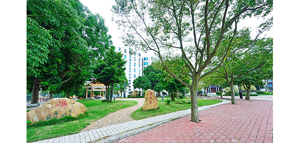 廣東茂名幼兒師范?？茖W(xué)校 - 最美大學(xué)