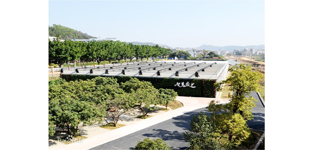我的大學(xué)-大學(xué)志