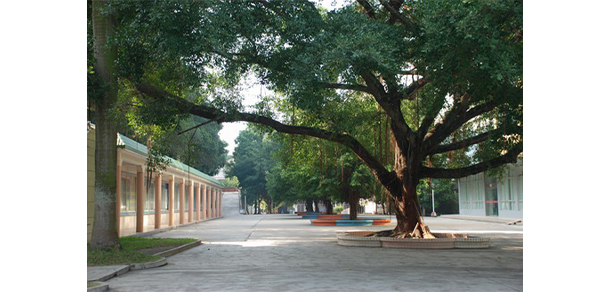 湛江幼兒師范專(zhuān)科學(xué)校