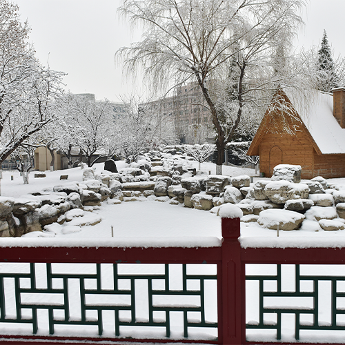 我的大學(xué)